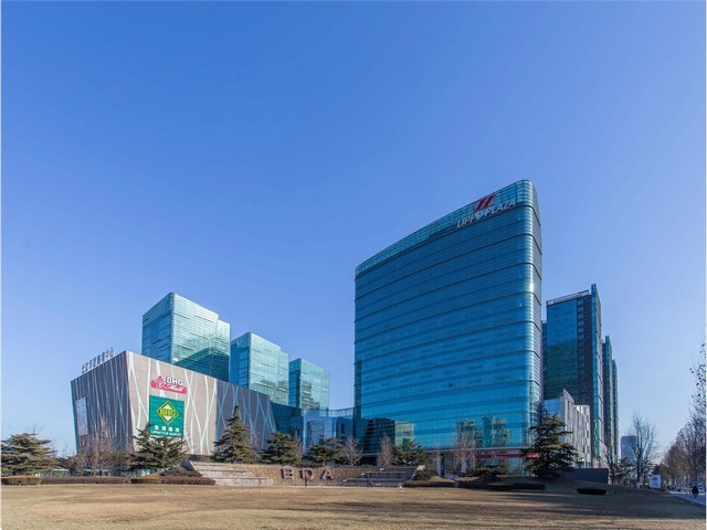 吃什么可以减少白发